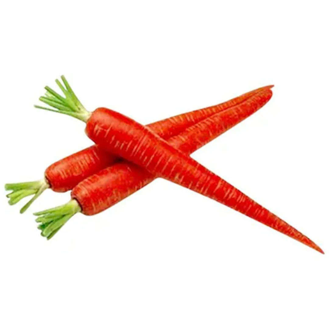 Enterprise Carrots Cultivated for Consistent Quality Supply